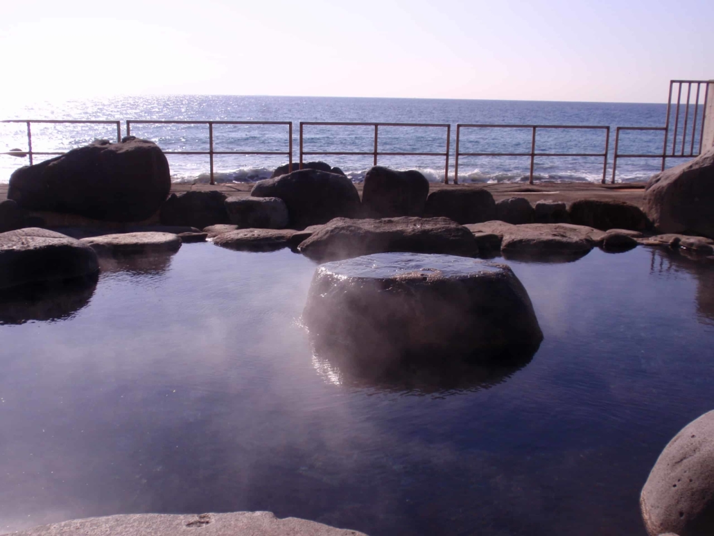 靜岡縣 伊豆旅情泡湯 與動物相親 賞河津櫻 遊日盟族